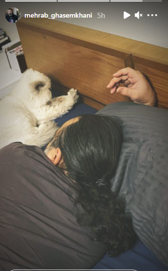 مهراب قاسم خانی و حیوان خانگیاش مهراب قاسم خانی