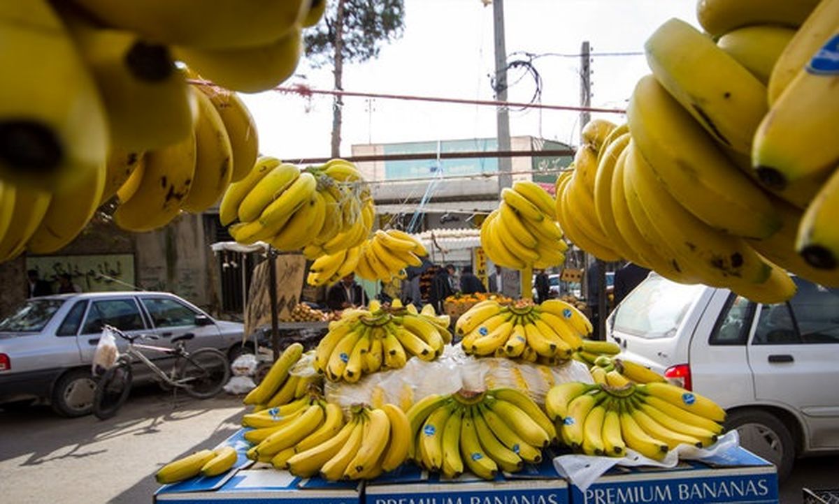 قیمت موز کاهشی شد قیمت موز کاهشی شد