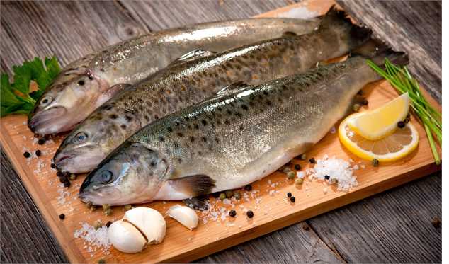 قیمت روز انواع ماهی 