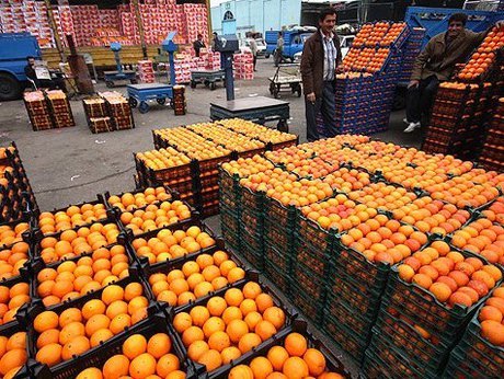 صادرات سیب و پرتقال تا اطلاع ثانوی ممنوع شد