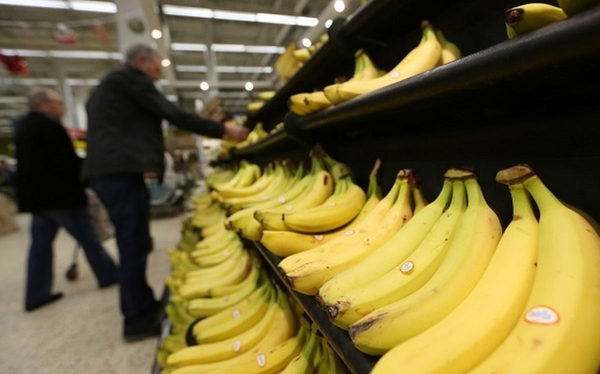 قیمت موز کاهش یافت قیمت موز کاهش یافت