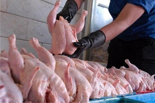 بازار مرغ زیر نگاه دادستانی تهران/  دادستانی به دنبال نظارت بر عملکرد دستگاه‌های متولی توزیع مرغ