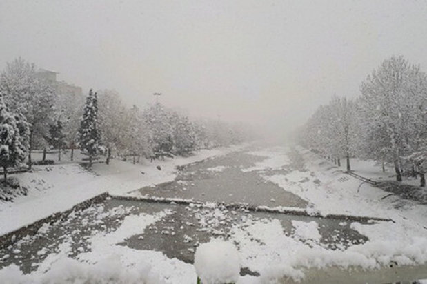 وزش باد شدید