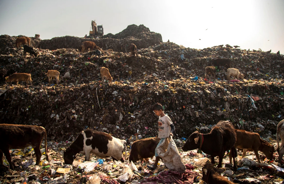 دردناک‌ترین صحنه‌های زندگی کودک زباله‌گرد