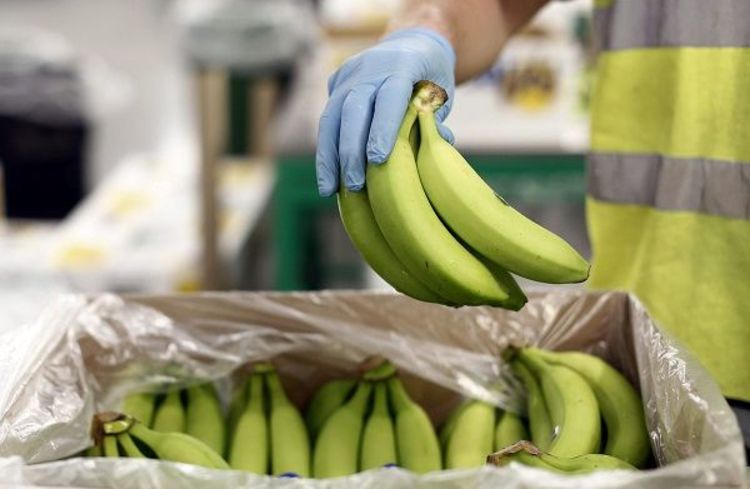 صادرات سیب شرط واردات موز/ فذوش روغن با کارت ملی صحت ندارد