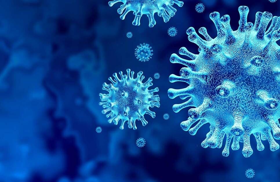 شمار مبتلایان ویروس کرونا