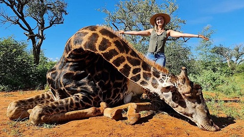  روز ولنتاین