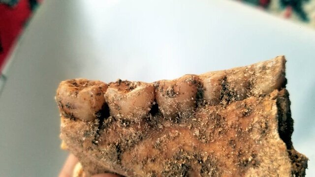 اسکلت اشکانی