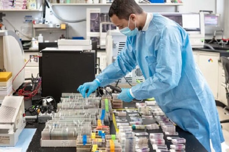 آمار ویروس کرونا در هرمزگان