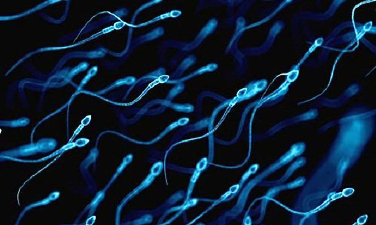 ویروس کرونا 