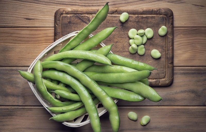 خواص خوراکی ها