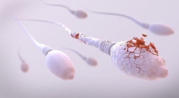 آیا ویروس کرونا از طریق رابطه جنسی منتقل می‌شود؟