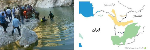 حادثه مهاجران در مرز ایران
