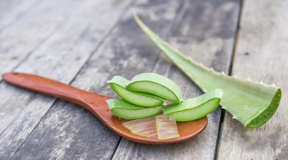 رژیم غذایی و تناسب اندام