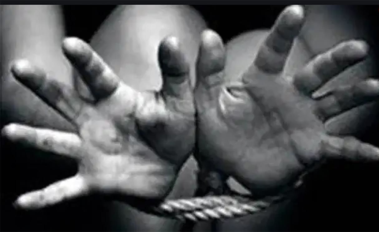 قتل خانوادگی قتل خانوادگی