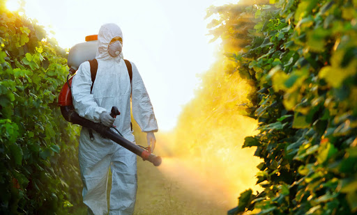 سم&zwnj;پاشی درختان ویروس کرونا را نابود نمی&zwnj;کند/ مردم به پارک&zwnj;ها نروند