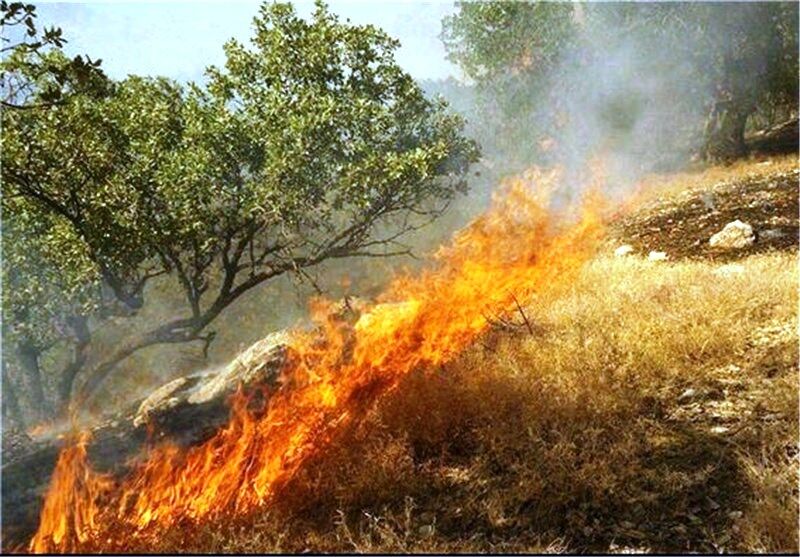 آتش سوزی جنگل ها در فصل گرما