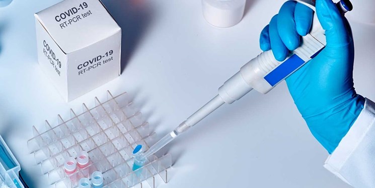 ویروس کرونا 