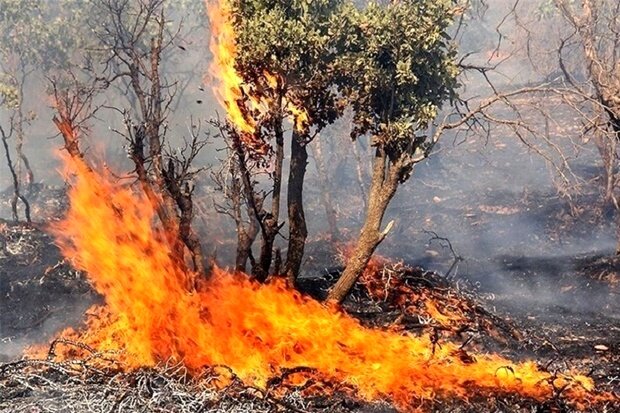 آتش سوزی در جنگل های خوزستان
