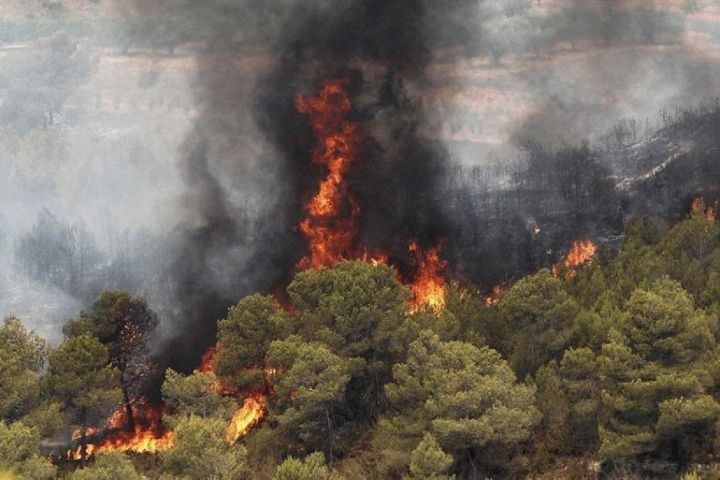 آتش سوزی جنگل‌های زاگرس