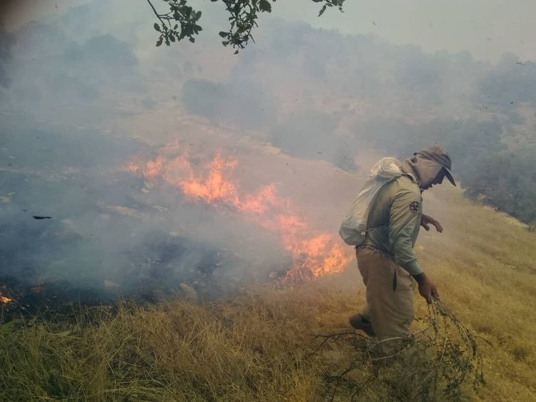 آتش سوزی جنگل‌های زاگرس 