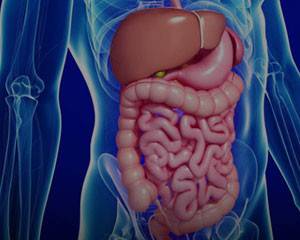 پاکسازی گوارش