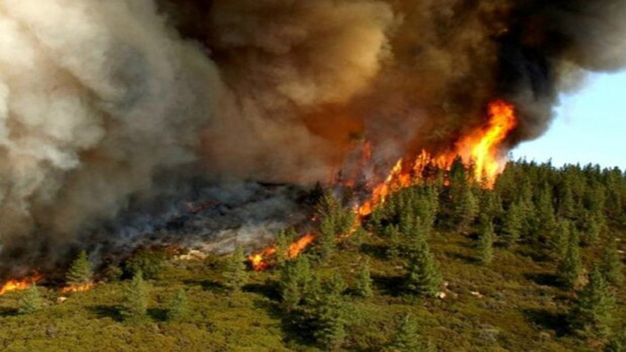  آتش سوزی جنگلها