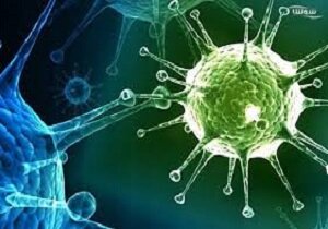 شمار مبتلایان به ویروس کرونا