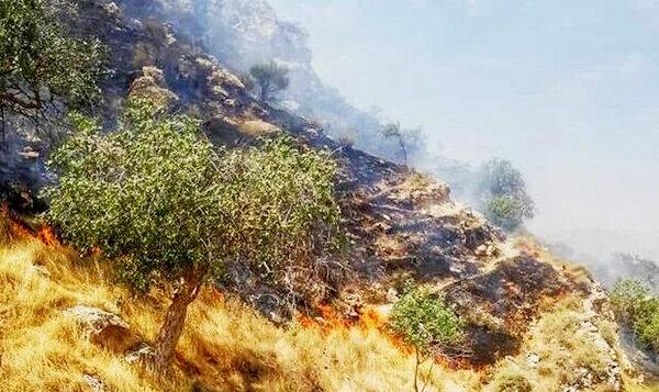 آتش سوزی‌ در بوستان‌های تهران