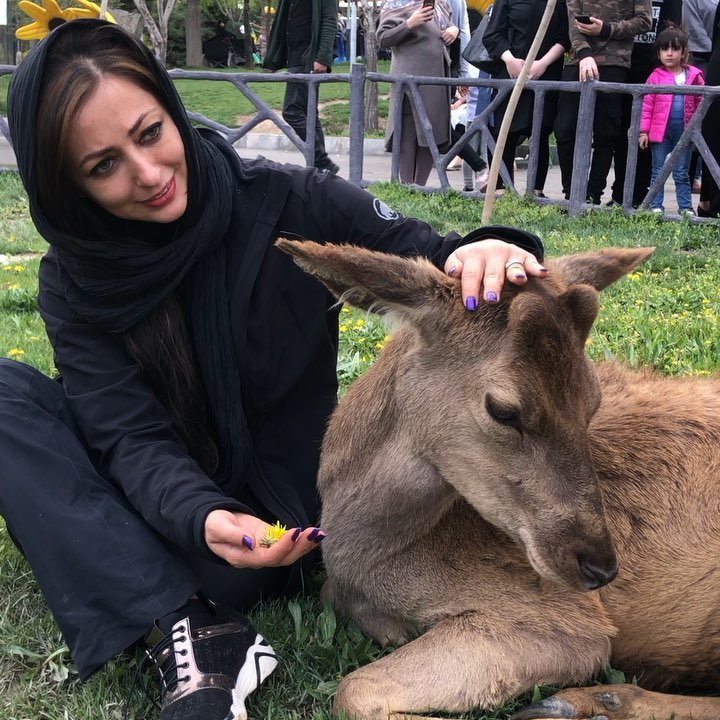 زنج و مرگ در انتظار حیوانات باغ‌وحش‌ صفادشت/ سکوت محیط زیست در برابر شکنجه حیوانات در باغ‌وحش‌ها