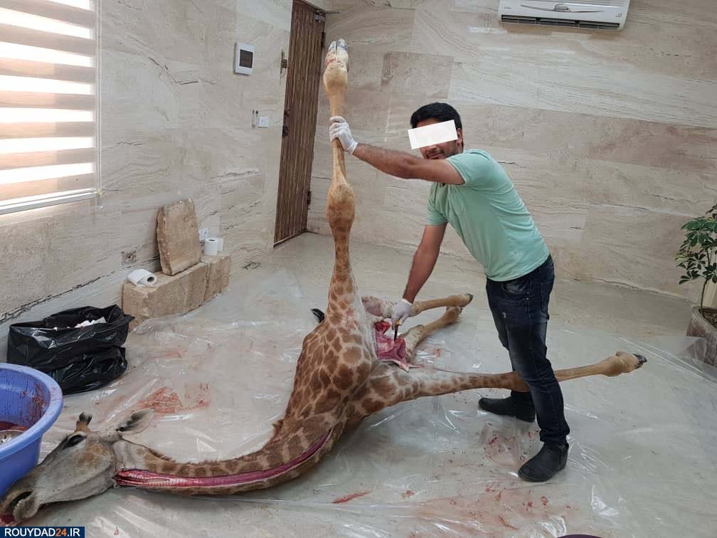 باغ وحش‌ صفادشت