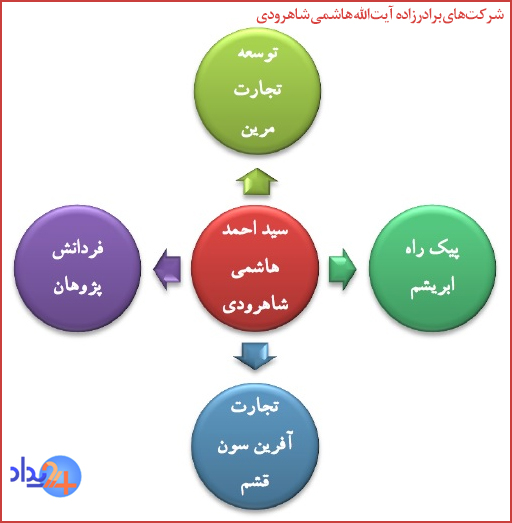 برادرزاده هاشمی شاهرودی