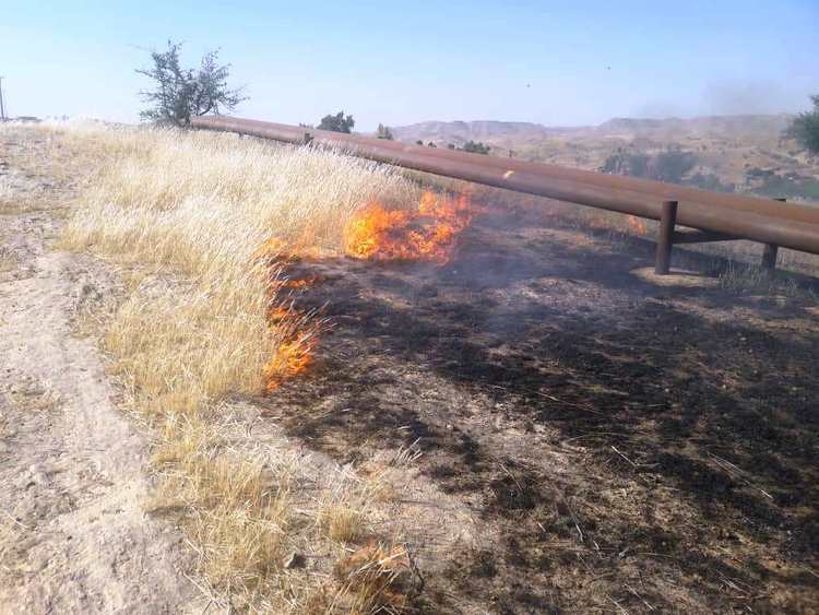 دستگیری عاملان آتش‌سوزی حنگل ها