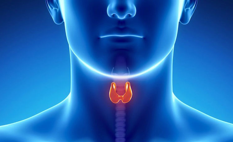 رابطه تیروئید و ریسک ابتلا به کرونا