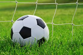 لیگ برتر لیگ برتر