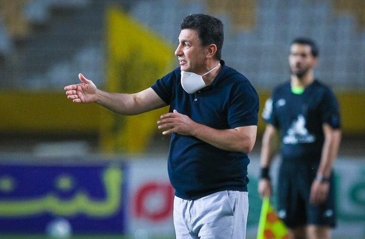 امیر قلعه نویی