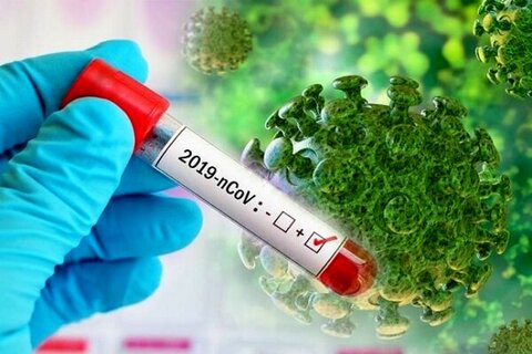ویروس کرونا در مشهد