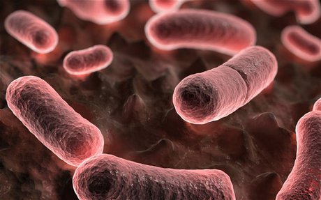 شناسایی ویروس جدید در چین