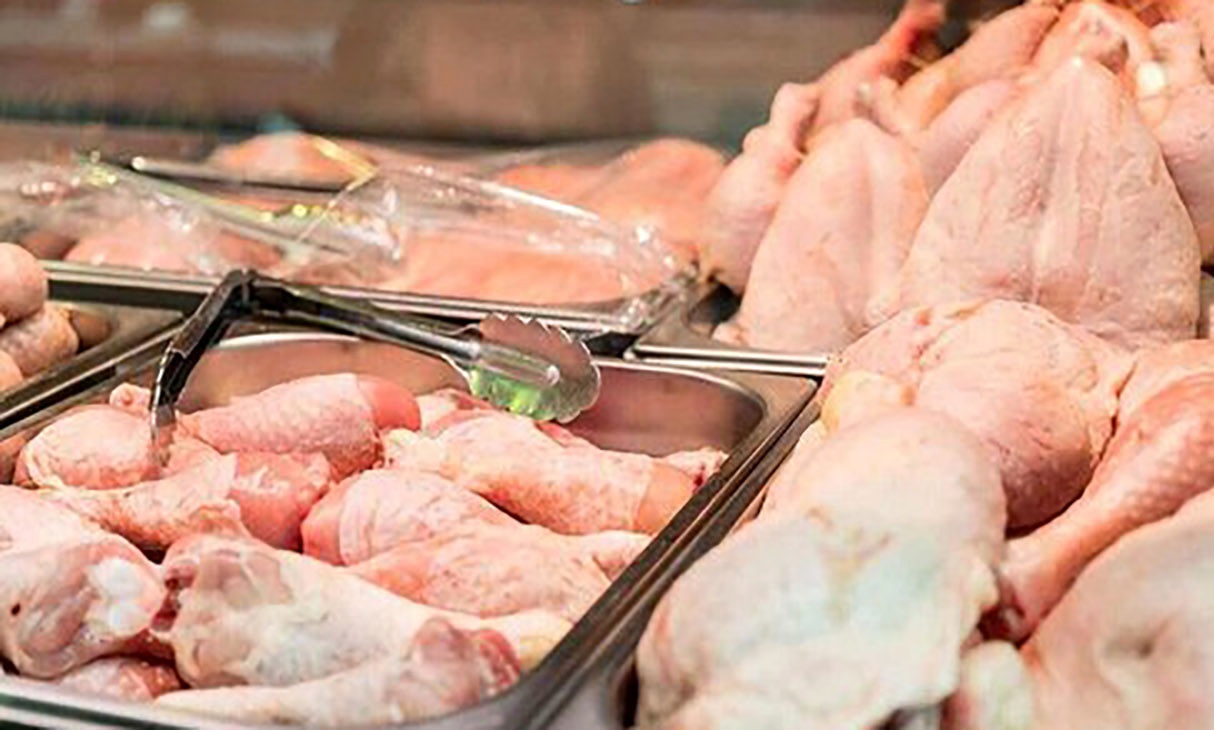 قیمت مرغ قیمت مرغ