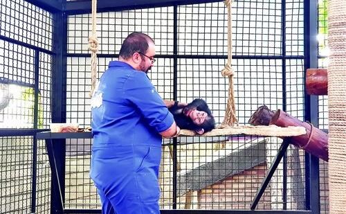 شهربازی و باغ وحش ارم تعطیل شد