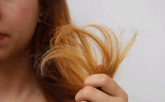 چگونه موخوره را از بین ببریم؟