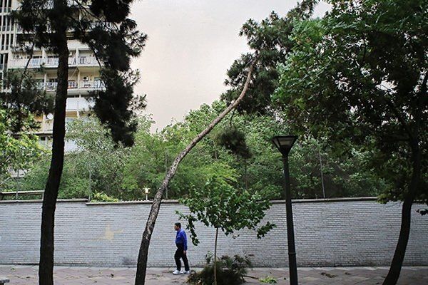 اخبار هواشناسی