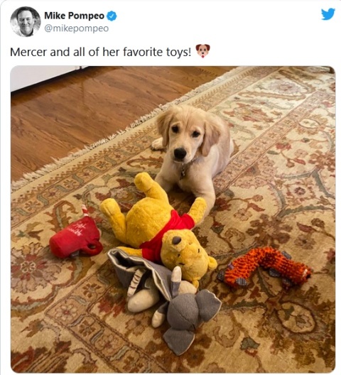 توئیت مایک پمپئو 