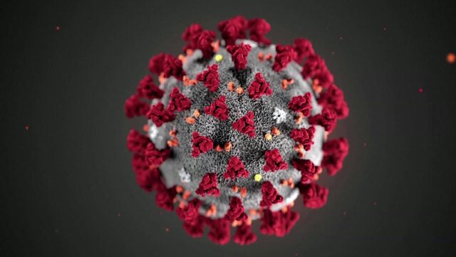 ویروس کرونا چگونه به بدن حمله می‌کند؟