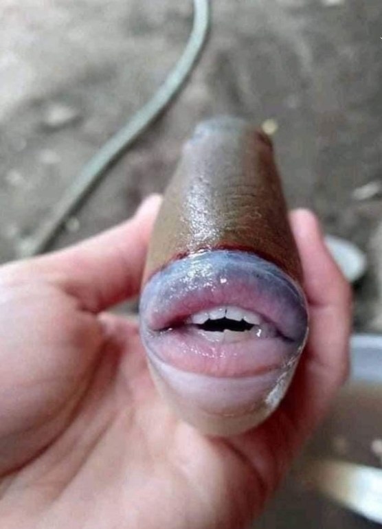 تصاویر باور نکردنی