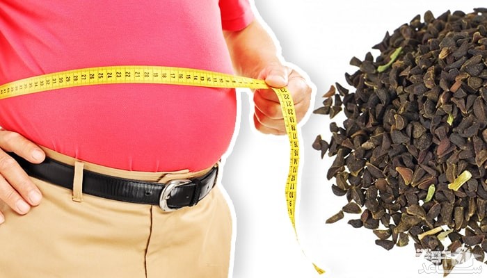 تناسب اندام و رژیم غذایی