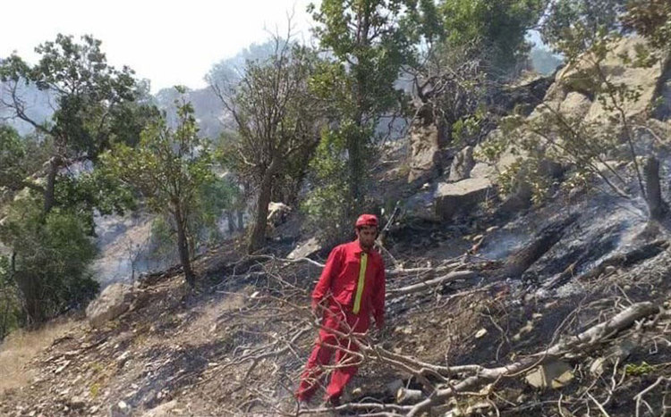 آتش سوزی جنگل های گرگان