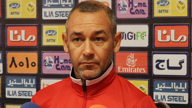 امیر قلعه‌نویی 