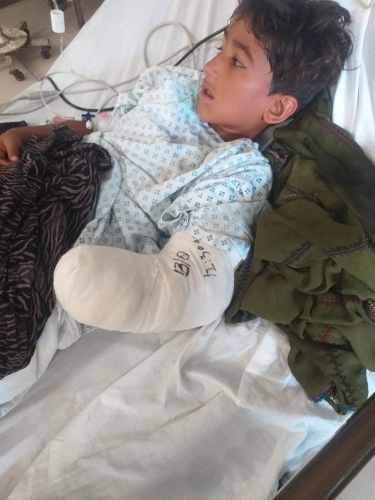 انسان و گاندو قربانیان کوتاهی‌های سازمان محیط زیست کشور/ ماجرای قطع دست امیرحمزه در حمله گاندو چه بود؟