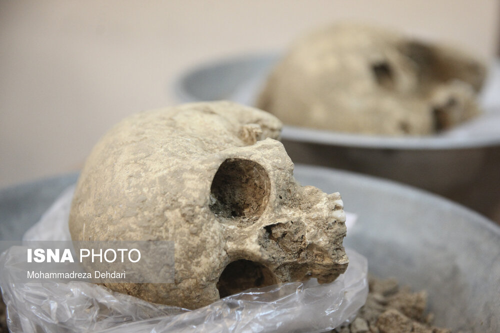 کشف اولین اسکلتها در تخت جمشید کشف اولین اسکلتها در تخت جمشید